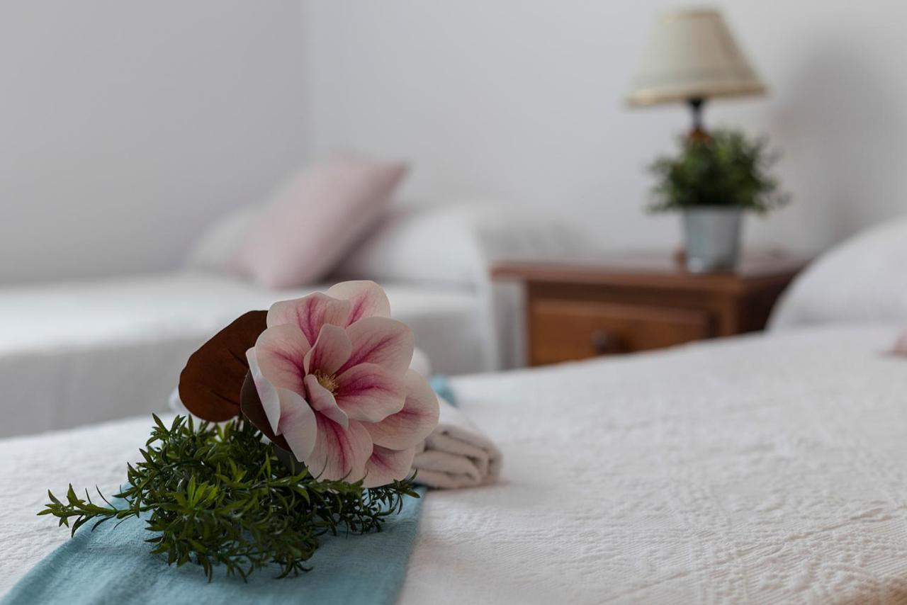 Avenida Playa 3 Rooms 2 Banos 加的斯 外观 照片